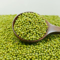 2016 nueva cosecha green mung bean para brotes con la más alta calidad